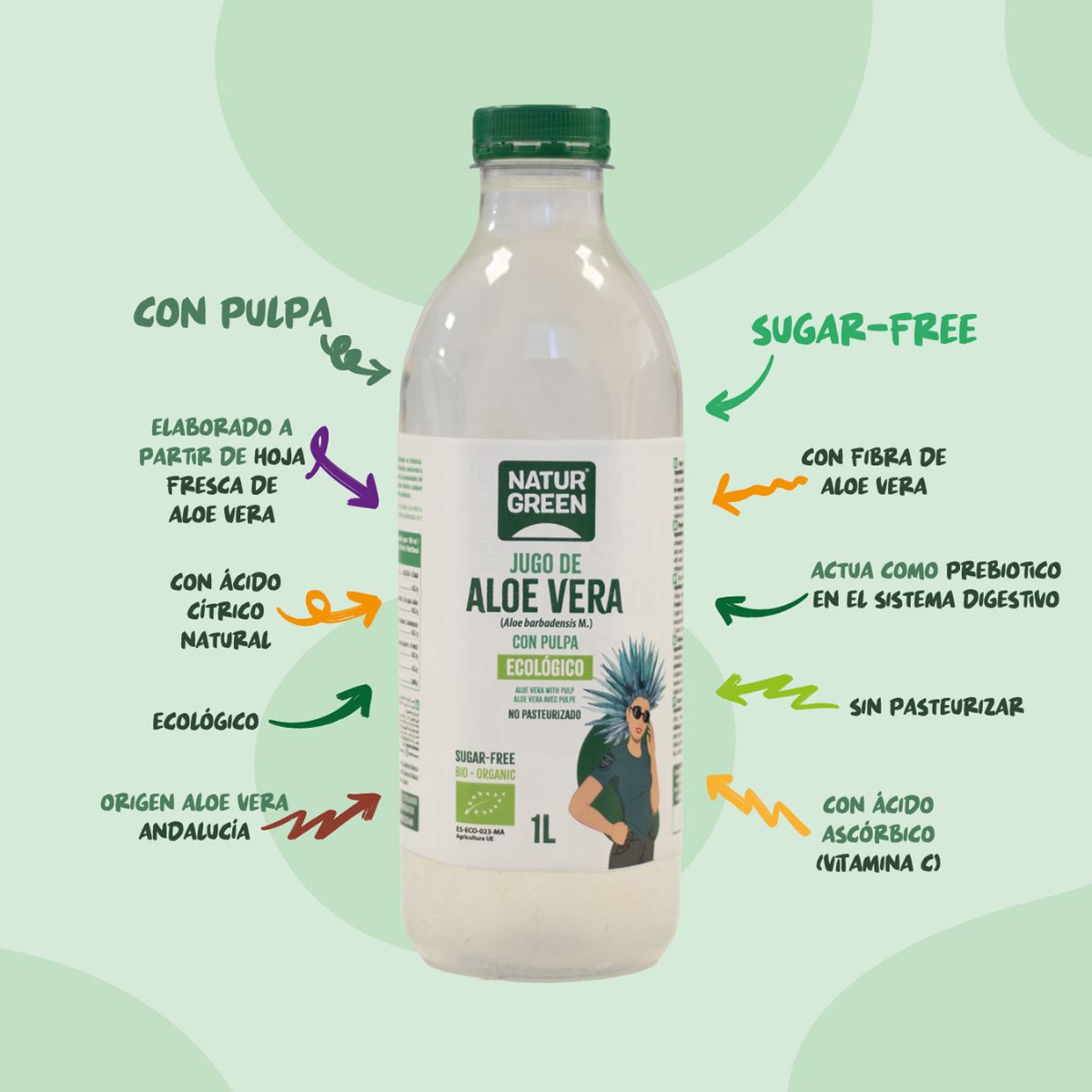 Embalagem x 12 Sumo de Aloé vera com polpa NaturGreen 1 L