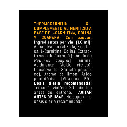 Thermocarnitin XL, energia e queima de gordura, Powergym