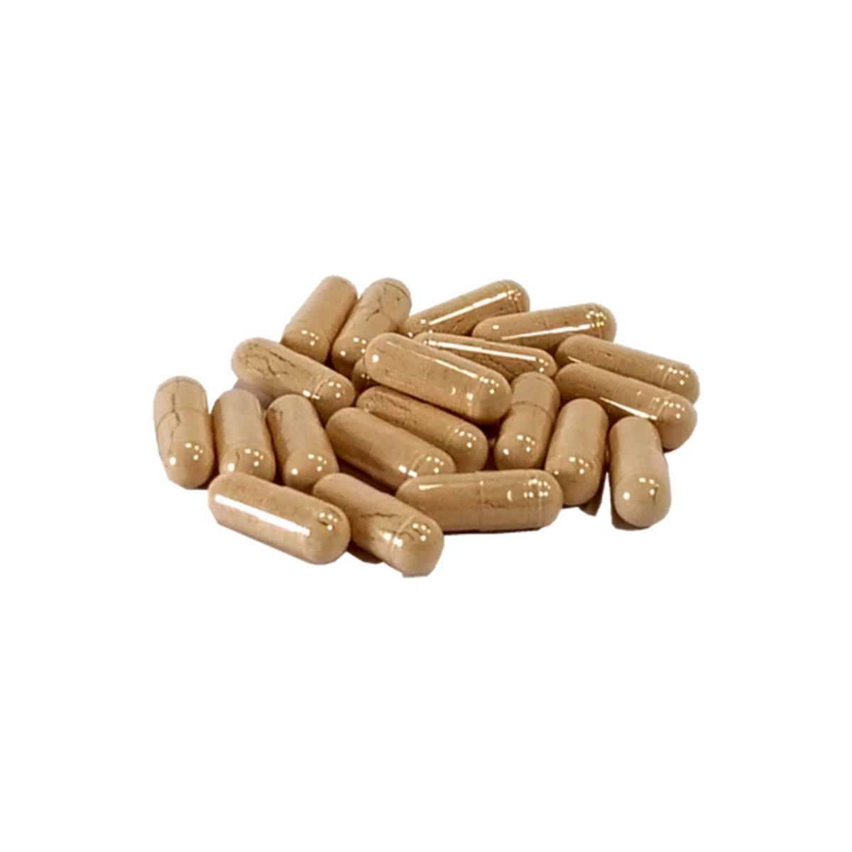 AniForte repelente natural de carraças 60 cápsulas