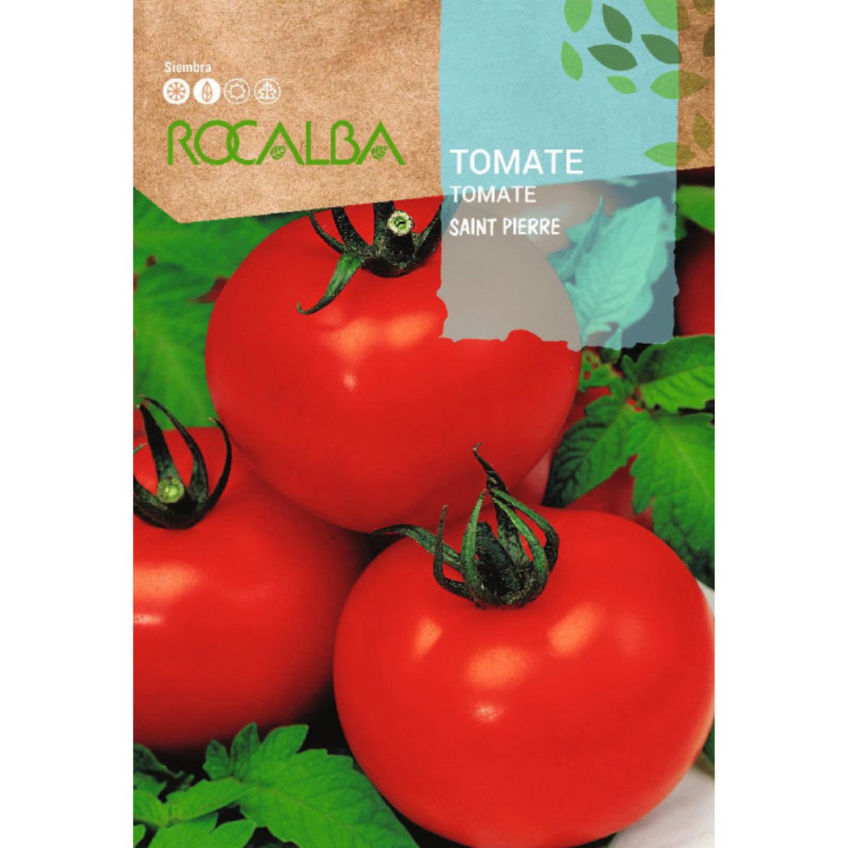 Sementes de tomate Saint Pierre