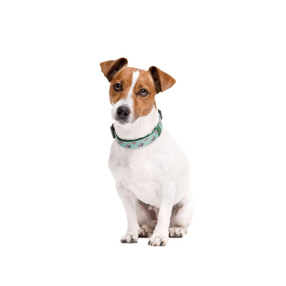 Coleira para cão Leopard Dukier