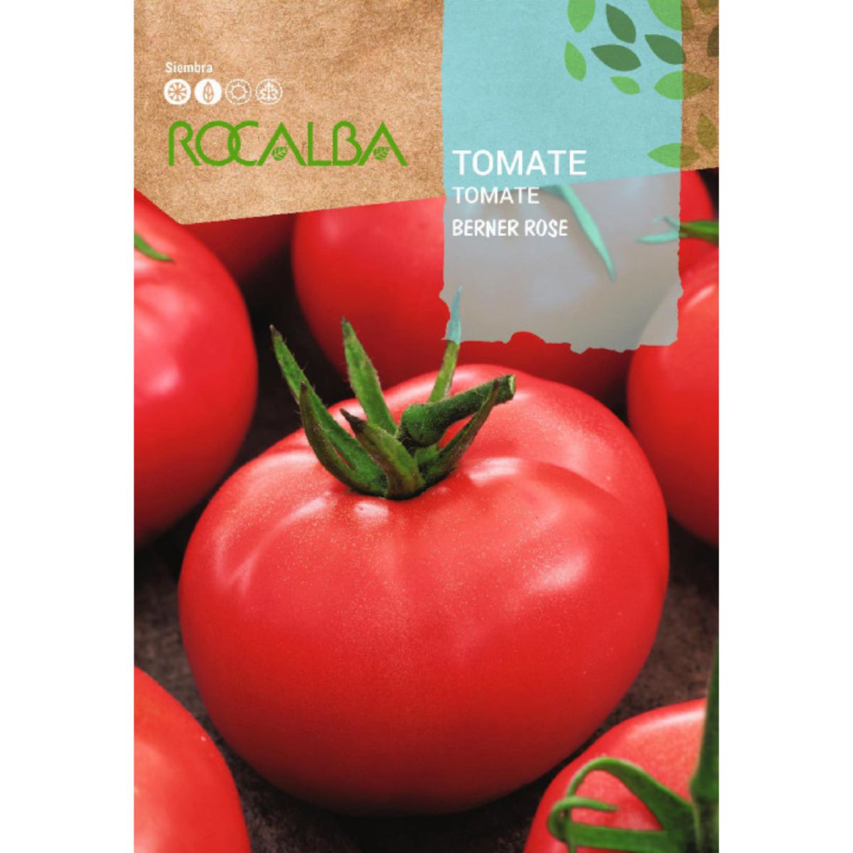 Sementes de tomate Bern Rose