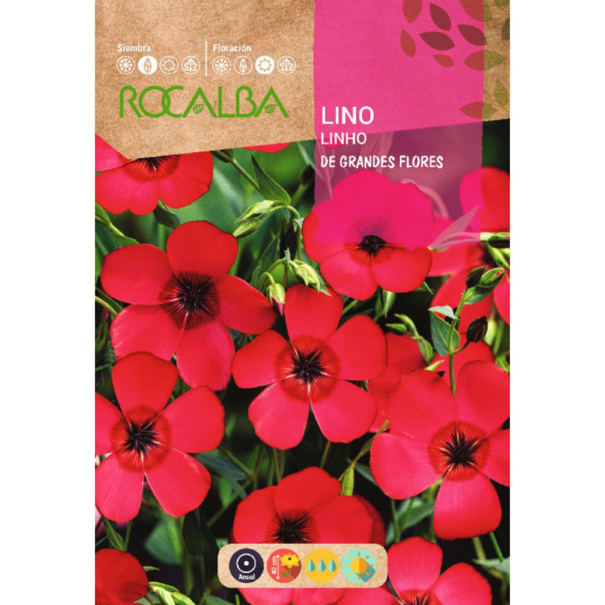 Sementes de linho vermelhas com flores grandes