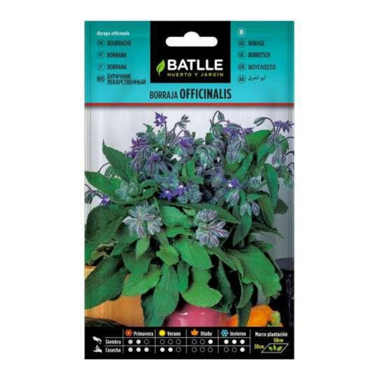 Sementes de Borragem officinalis Batlle