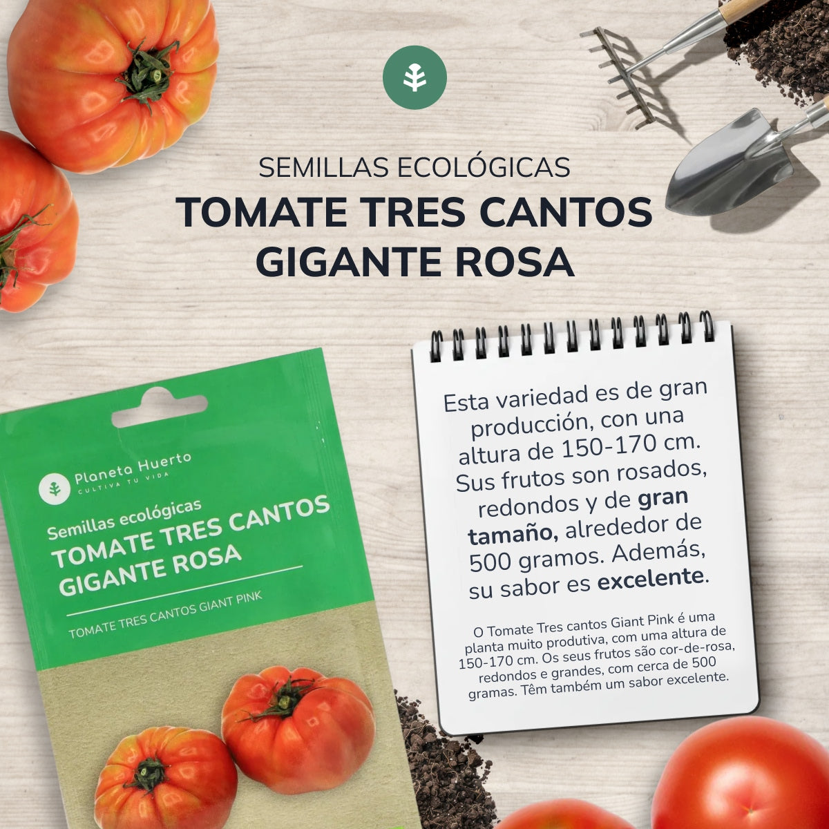 Sementes de tomate gigante rosa triangular da Planeta Huerto