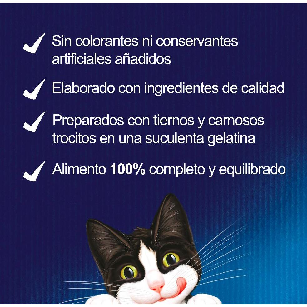 FELIX Fantástica Seleção de Sabores em Gelatina sortida embalagem 44 x 85 g Gato