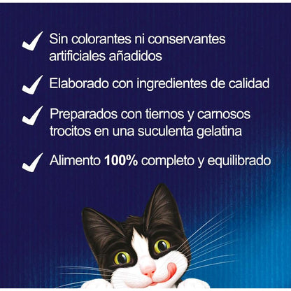 FELIX Fantástica Seleção de Sabores em Gelatina sortida embalagem 44 x 85 g Gato