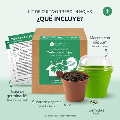 Kit de autocultivo de trevo de 4 folhas Planeta Huerto