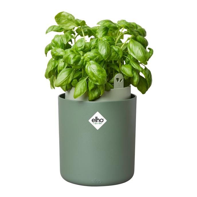 Bouncy Basil Elho Verde vaso auto-irrigável