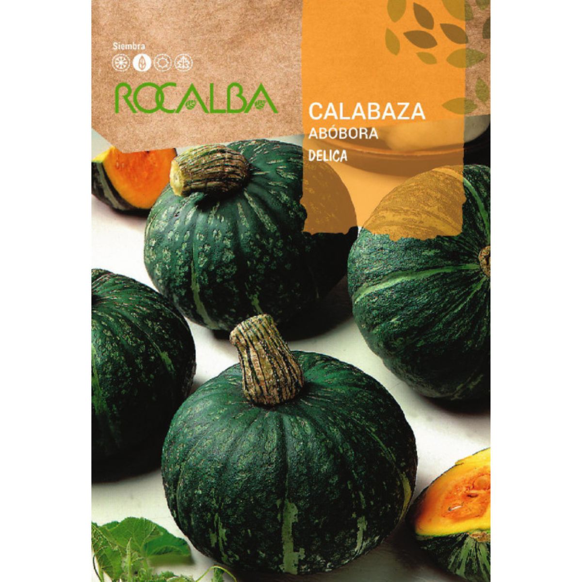 Sementes de abóbora Delica