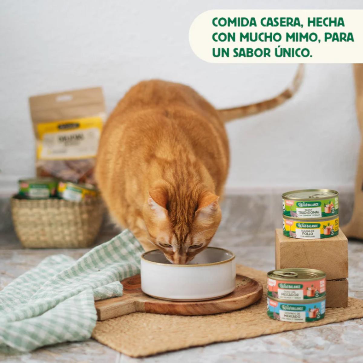 Caçarola de Frango Wild Balance para Gatos Lata 80g