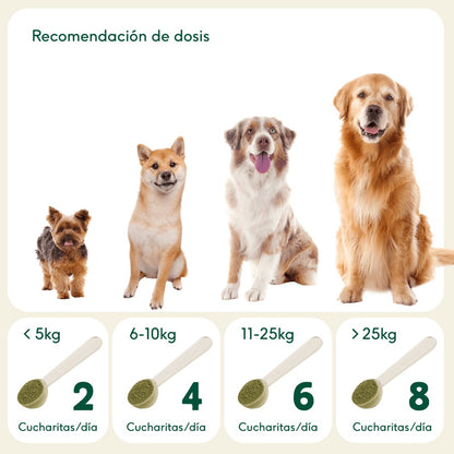 Suplemento Natural para Animais de Estimação Wild Balance 100g da Joints of Steel