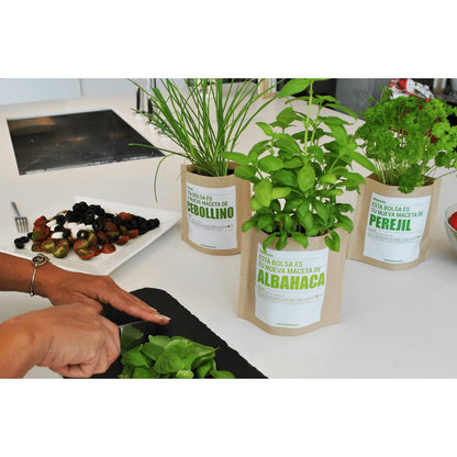 Kit de bolso para jardim de ervas: aneto