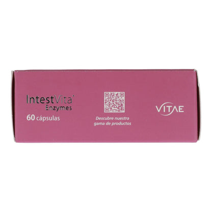 IntestVita Enzimas 60 cápsulas
