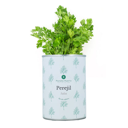 Kit de Cultivo de Salsa Aromática Planeta Huerto