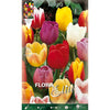 Bolbos de Tulipa Mix 7 unidades