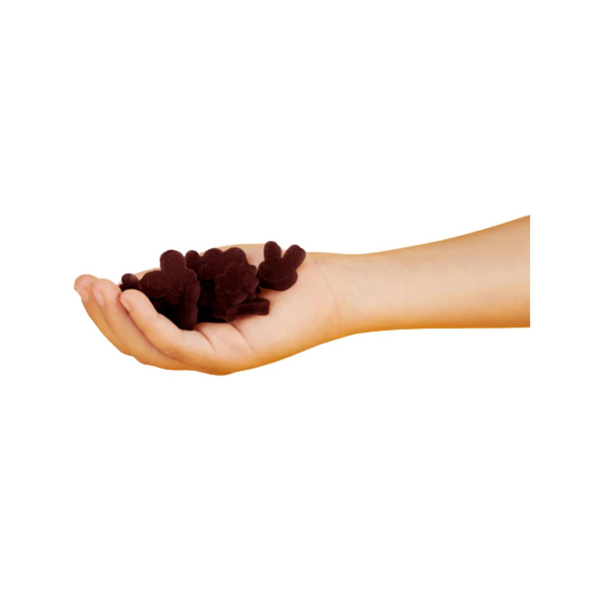 Snack de Maçã e Mirtilo Biológico 25g, Triboo