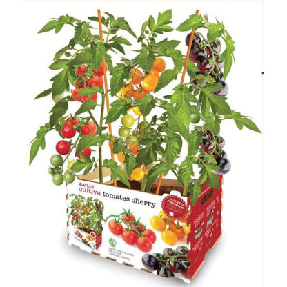Jardim de Tomate Cereja Premium Batlle
