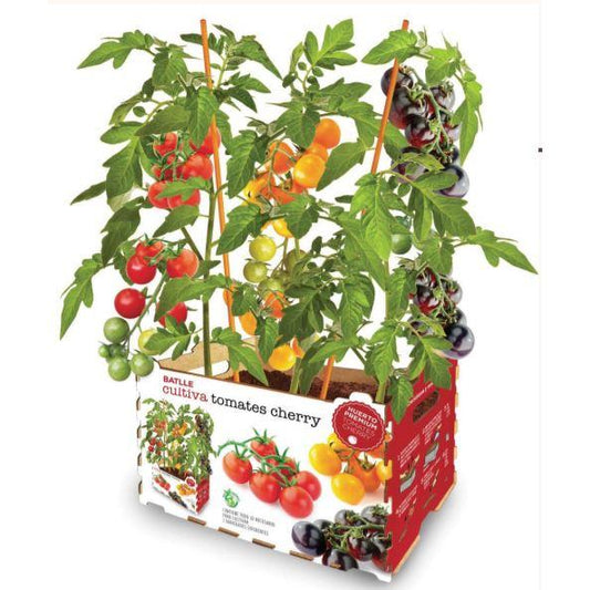 Jardim de Tomate Cereja Premium Batlle