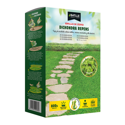 Sementes de erva-batlle Dichondra repens 100 g