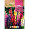 Sementes de flores de tremoço, variadas