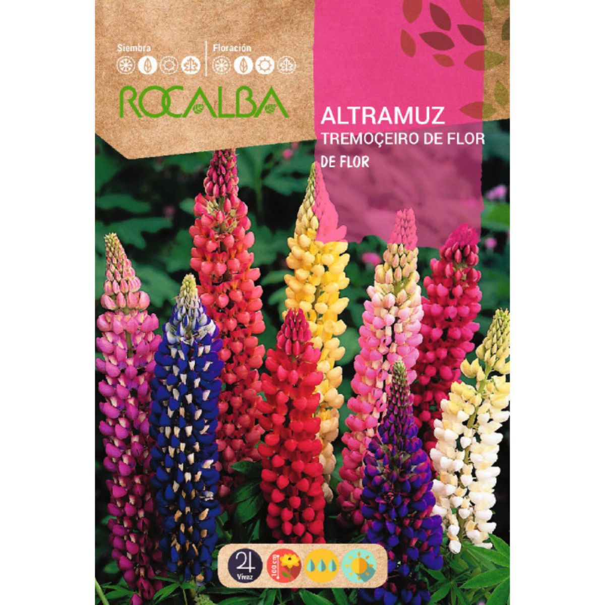 Sementes de flores de tremoço, variadas