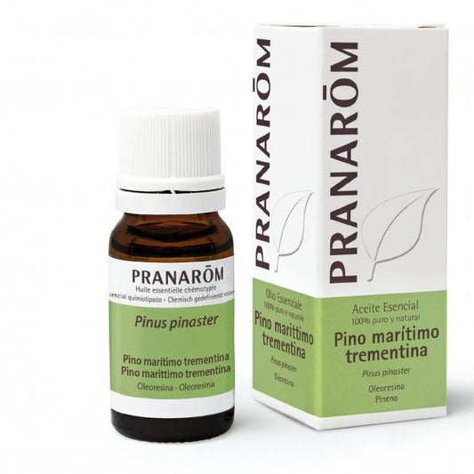 Óleo essencial de pinheiro marítimo Oleorresina Bio Pranarom 10 ml