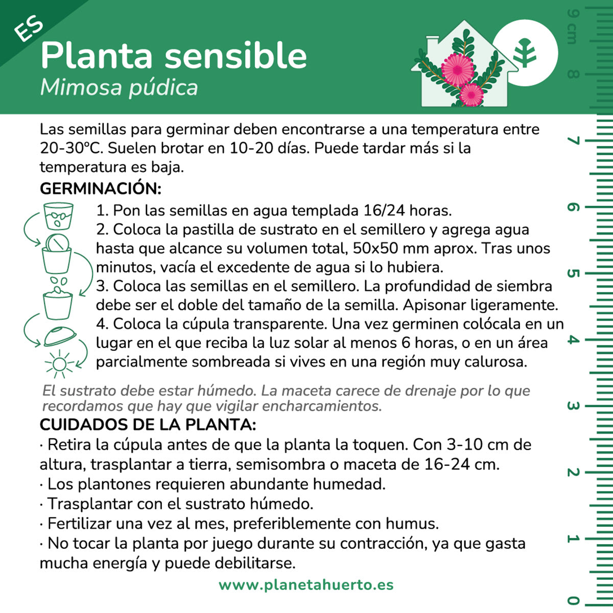 Kit de autocultivo para a planta carnívora Drosera Planeta Huerto