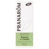 Óleo Essencial de Alecrim QT Cineol BIO Pranaróm 10 ml