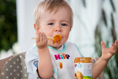 Pote de frutas variadas com cereais biológicos +6 meses HiPP 190 g