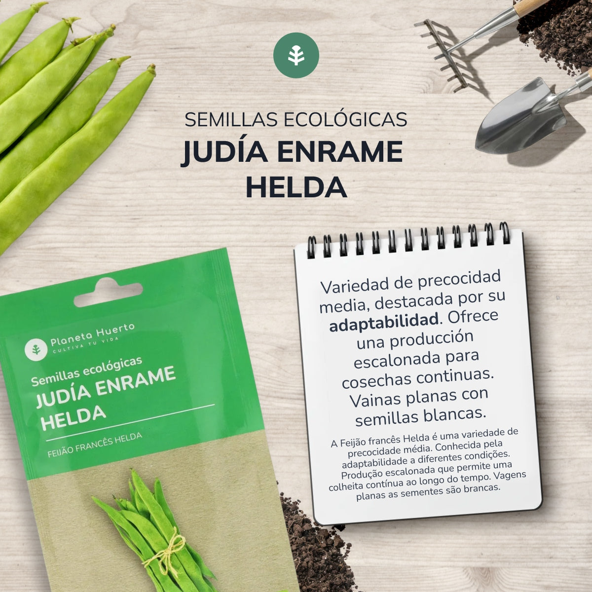 Sementes de feijão trepador biológico Planeta Huerto