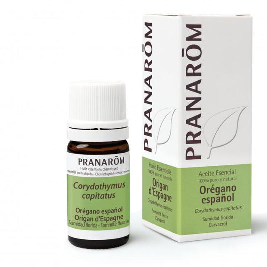 Óleo Essencial de Orégãos Espanhol Sumidad Florida Pranarom 5 ml