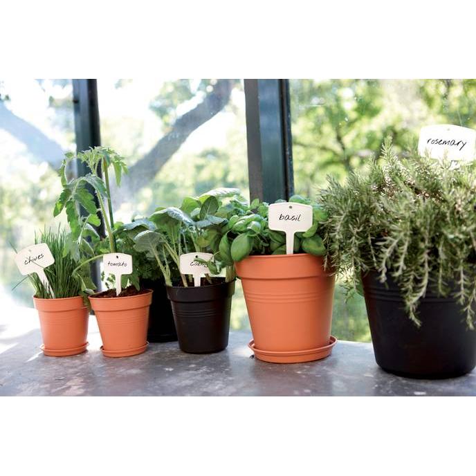 Green Basics Elho Vaso Antracite 17 cm