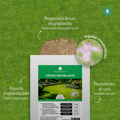 Sementes de Relva Repovoadora Planeta Huerto 1 kg