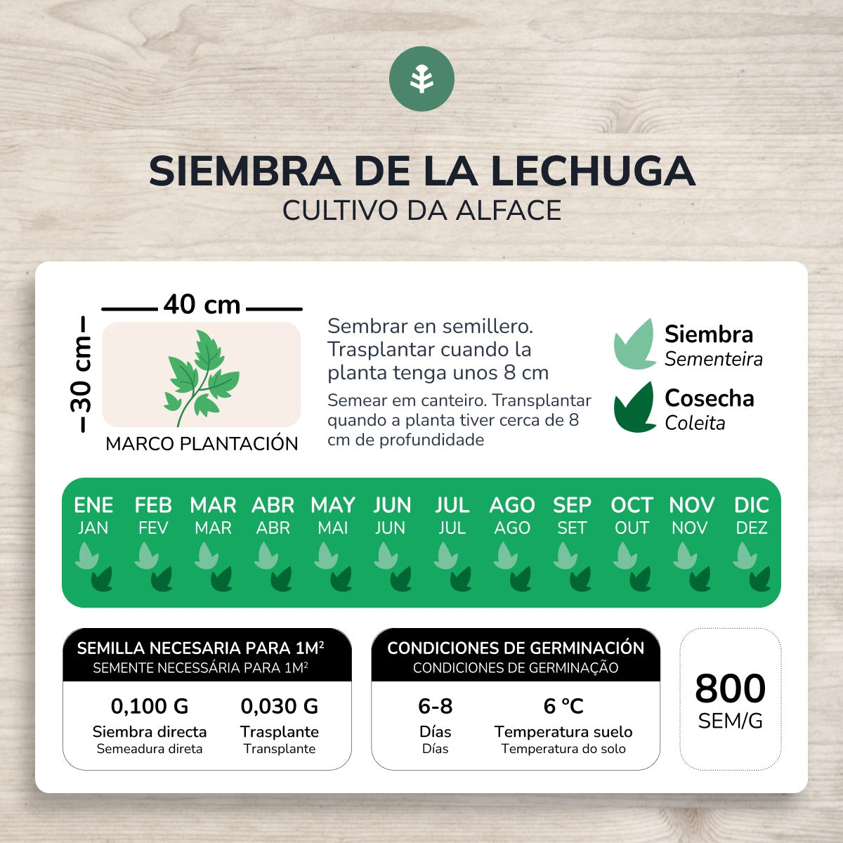 Pack de Semillas ECO "Ensaladas de Otoño"