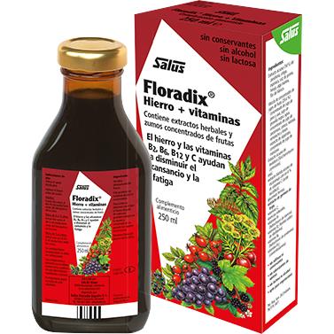 Xarope de ferro Floradix Salus 250 ml