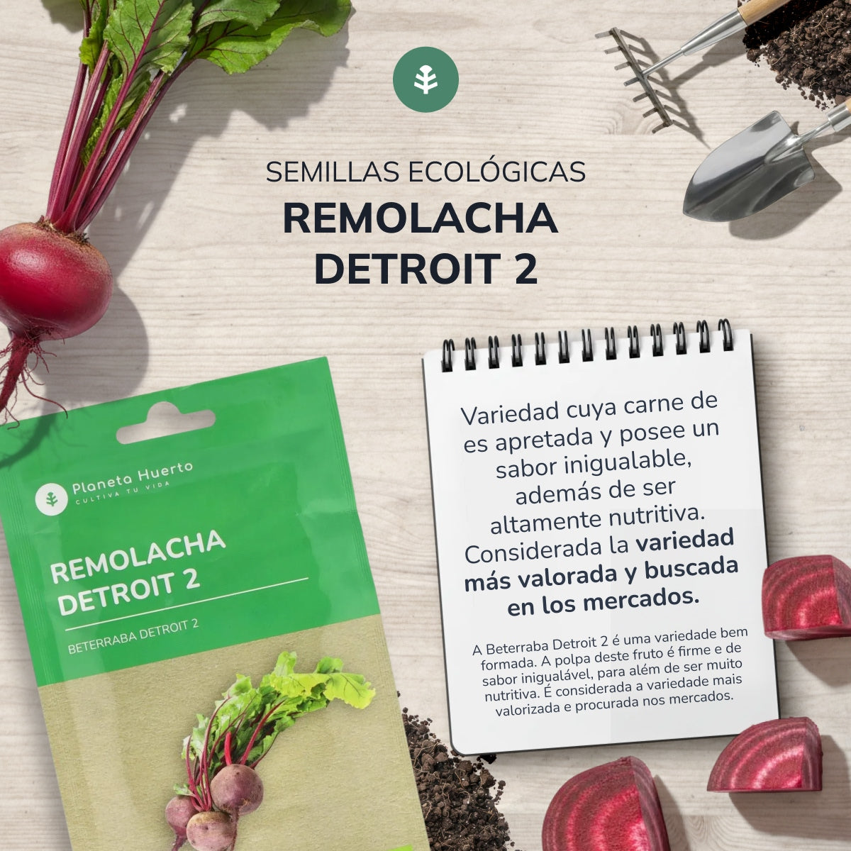 Sementes de beterraba biológica Detroit 2 da Planeta Huerto