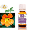 Camassia Anticaspa e Fortalecedor Capilar Ativo 10 ml