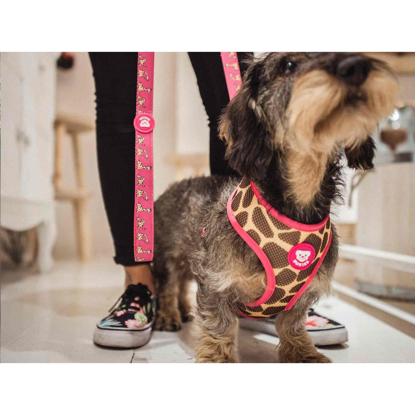 Peitoral reversível para cães SAVANA Dukier