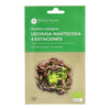 Sementes de alface butterhead orgânicas de 4 estações da Planeta Huerto
