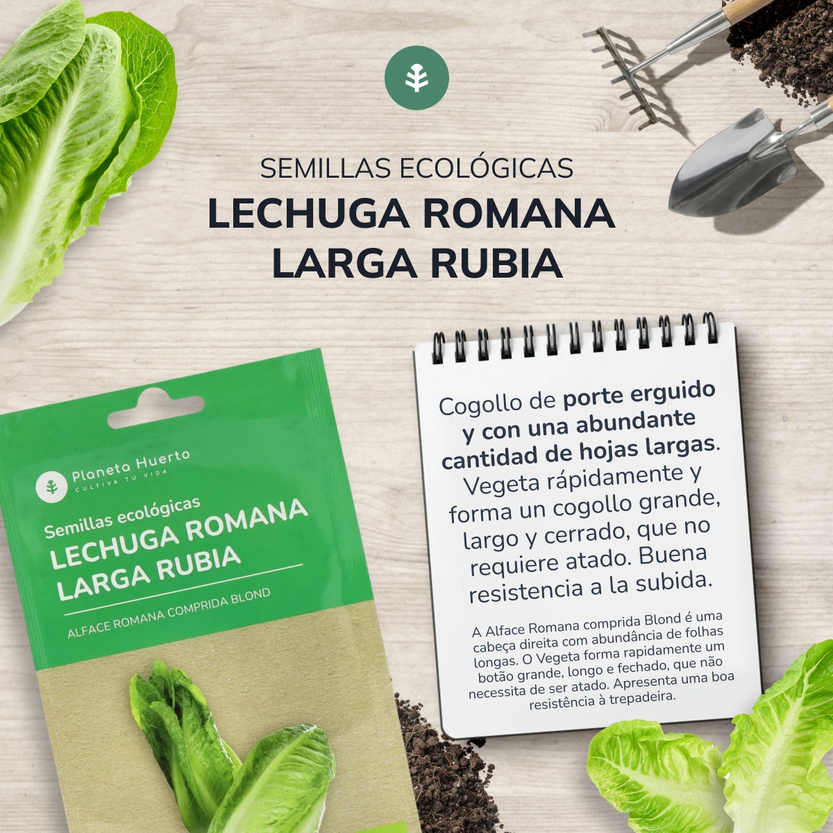Pack de Semillas ECO "Ensaladas de Otoño"