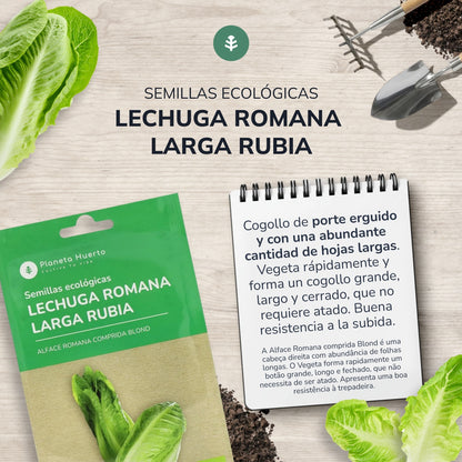 Pack de Semillas ECO "Ensaladas de Otoño"