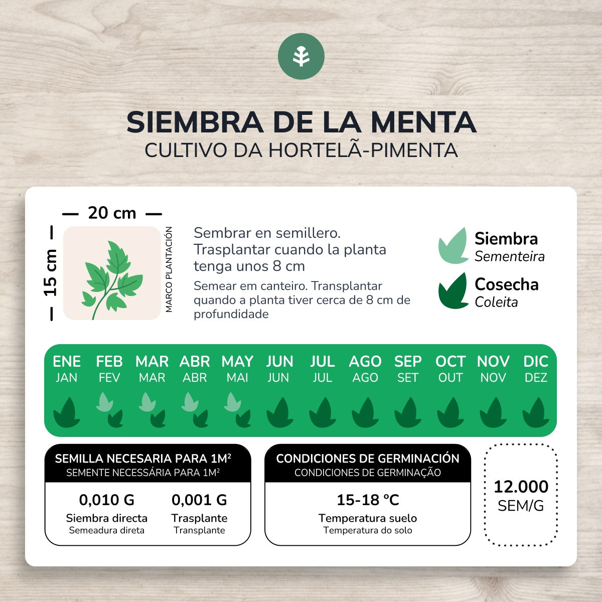 Sementes de hortelã-pimenta biológica da Planeta Huerto