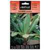 Sementes de bananeira ornamentais Batlle