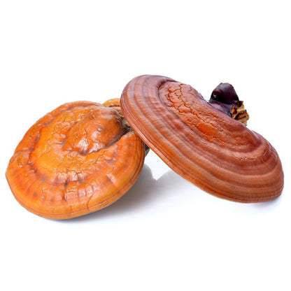 El Granero Reishi 60 cápsulas, 530mg