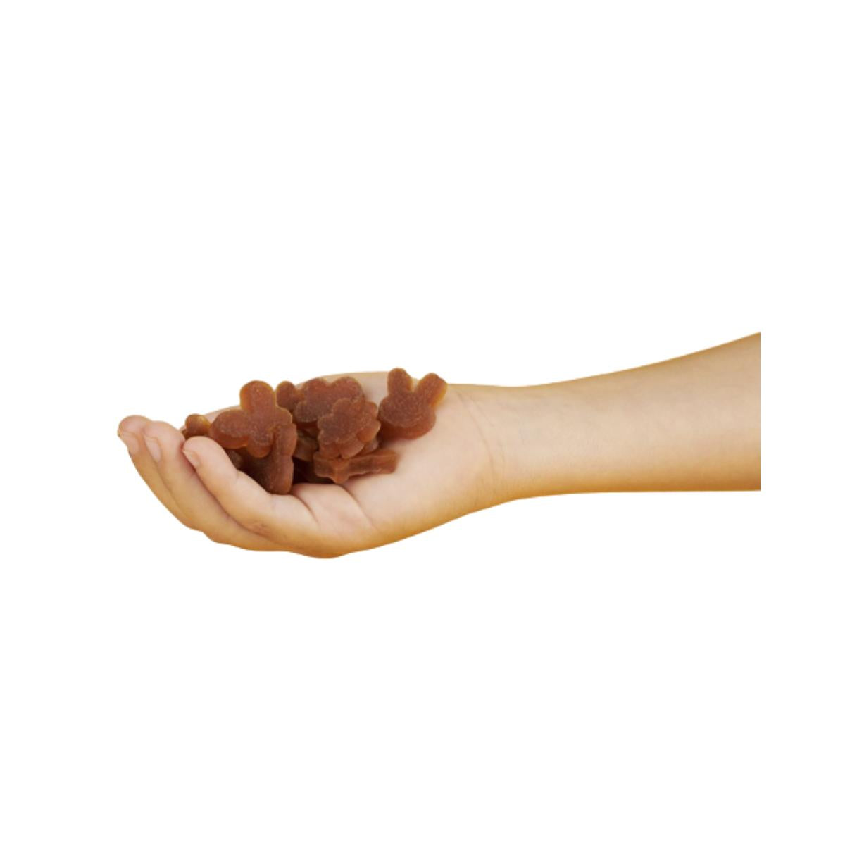 Snack Maçã Biológica 25g, Triboo
