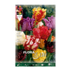 Bulbos de Tulipa Papagaio Mix 7 unidades