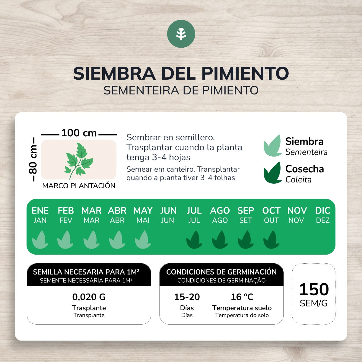 Sementes orgânicas de pimento doce italiano da Planeta Huerto