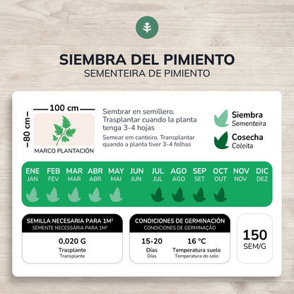 Sementes orgânicas de pimento doce italiano da Planeta Huerto