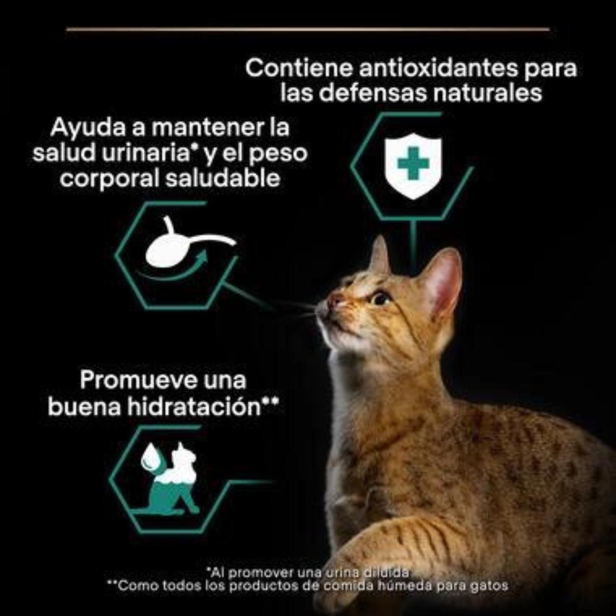 Pro Plan Gato Adulto Esterilizado Manutenção com Frango e Carne em Molho Purina Saqueta 10 x 85 g